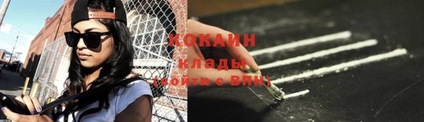шишки Баксан